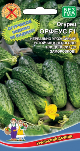Огурец Орфеус F1 УД 10шт Огурец Орфеус F1 УД 10шт