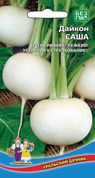 Дайкон Саша УД