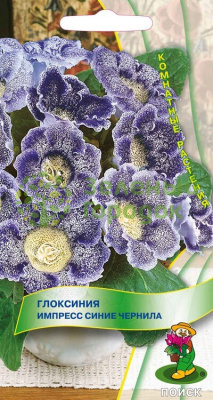 Глоксиния Импресс Синие чернила 5шт Глоксиния Импресс Синие чернила 5шт