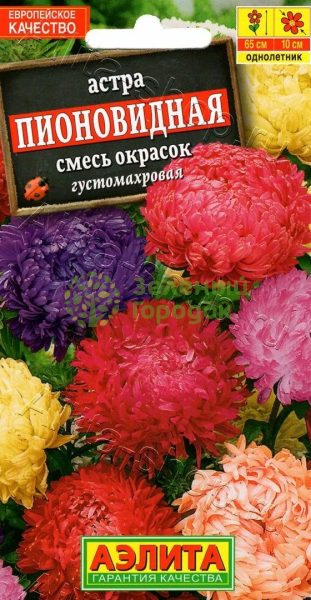 Астра Пионовидная АЭ 0,2г Астра Пионовидная АЭ 0,2г