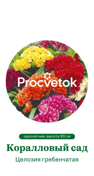 Целозия гребенчатая Коралловый Сад Германия Pro 0,2г