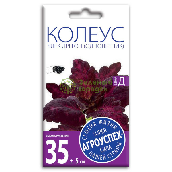 Колеус Блек Дрегон АУ 10шт