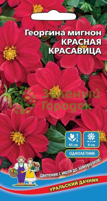 Георгина мигнон Красная Красавица УД 0,2г