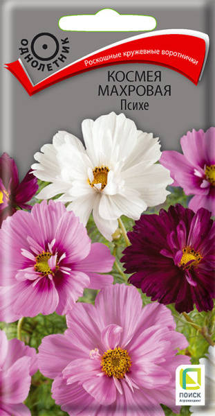 Космея махровая Психе (ЦВ) 0,2г