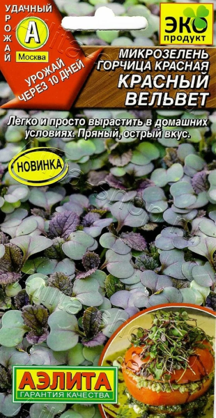 Микрозелень Горчица Красный вельве АЭ 5г Микрозелень Горчица Красный вельве АЭ 5г