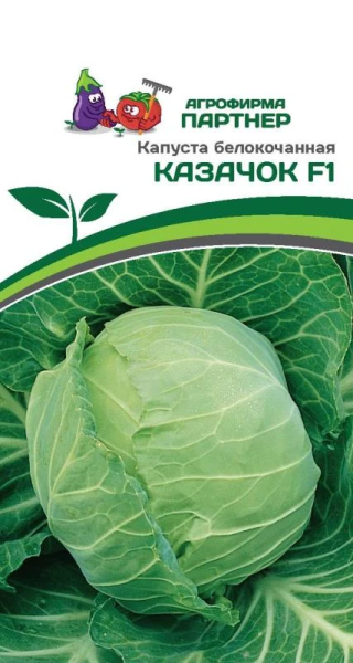 Капуста б/к КАЗАЧОК F1 0,3г Капуста б/к КАЗАЧОК F1 0,3г