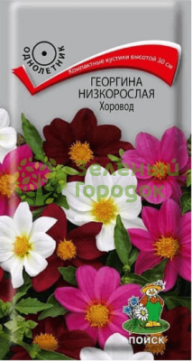 Георгина низкорослая Хоровод (ЦВ) 10шт