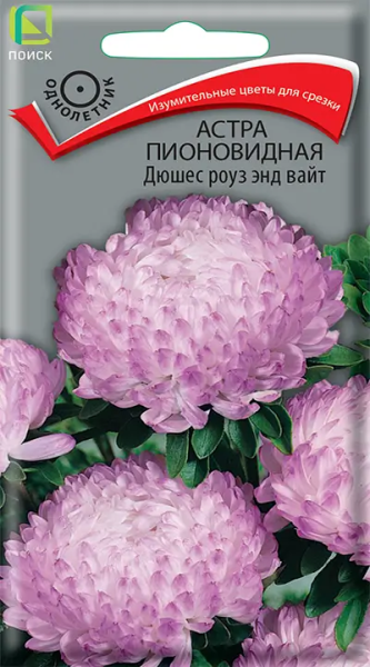Астра пионовидная Дюшес роуз энд вайт (ЦВ) 0,3г