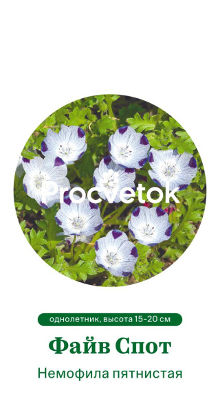 Немофила пятнистая Файв Спот Германия Pro 0,3г