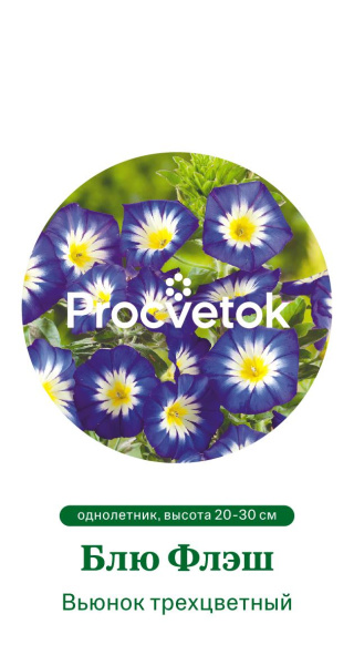 Вьюнок трехцветный Блю Флэш Германия Pro 1г