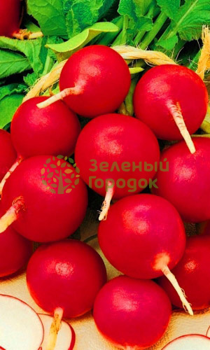 Редис Королева Марго (Марс) белый пакет 2г Редис Королева Марго (Марс) белый пакет 2г