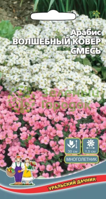 Арабис Волшебный ковёр УУ