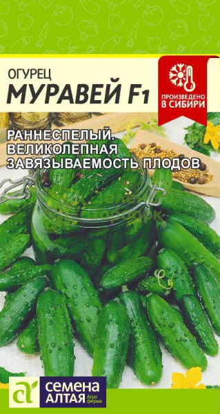 Огурец Муравей F1 SA 5шт Огурец Муравей F1 SA 5шт