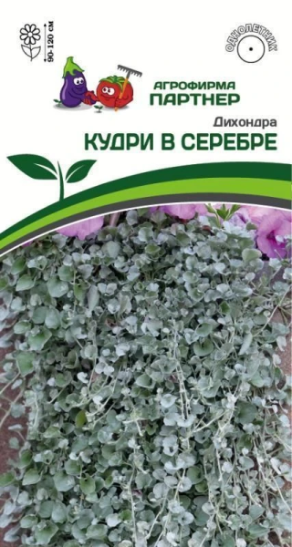 Дихондра серебристая КУДРИ В СЕРЕБРЕ 4шт в амп Дихондра серебристая КУДРИ В СЕРЕБРЕ 4шт в амп