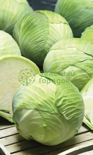 Капуста б/к Валентина F1 (Марс) белый пакет 0,15г