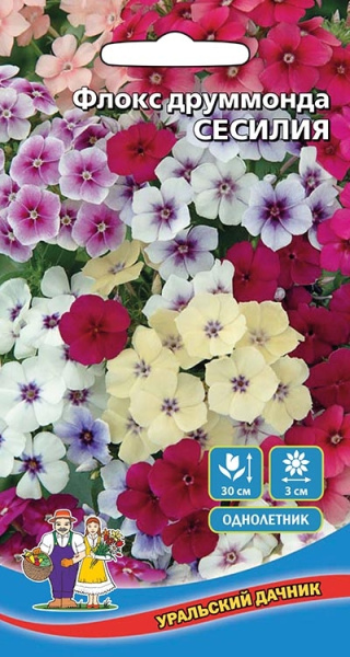Флокс Сесилия друммонда УД 0,05г