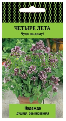 Душица обыкновенная (орегано) Надежда сер. Четыре лета (ЦВ) 20шт