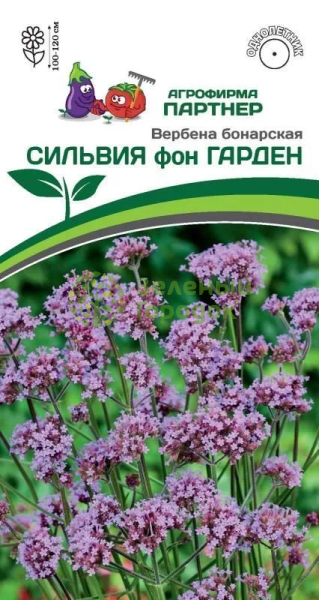 Вербена бонарская СИЛЬВИЯ фон ГАРДЕН 10шт в амп