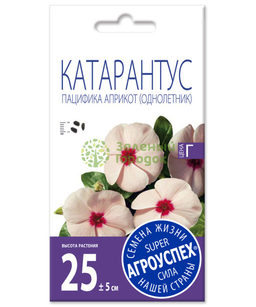 Катарантус Пацифика Априкот АУ 7шт Катарантус Пацифика Априкот АУ 7шт