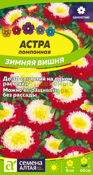 Астра помпонная Зимняя Вишня SA 0,2г Астра помпонная Зимняя Вишня SA 0,2г