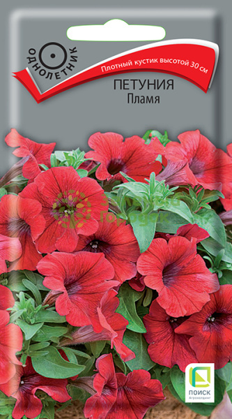 Петуния Пламя (ЦВ) 0,1г Петуния Пламя (ЦВ) 0,1г