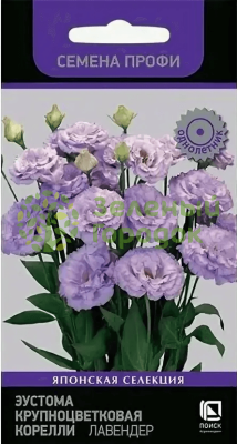 Эустома крупноцветковая Корелли Лавендер (ЦВ) 5шт