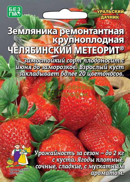 Земляника Челябинский метеорит ремонтантная УД Б/Ф 10шт Земляника Челябинский метеорит ремонтантная УД Б/Ф 10шт