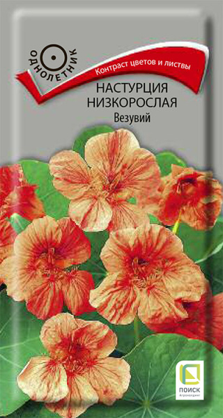 Настурция низкорослая Везувий (ЦВ) 1г Настурция низкорослая Везувий (ЦВ) 1г