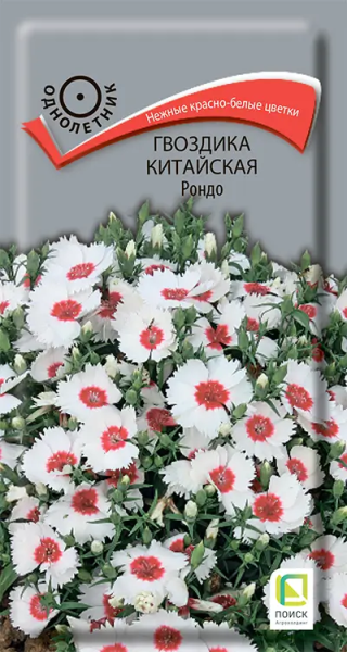 Гвоздика китайская Рондо (ЦВ) 0,1г