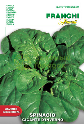 Шпинат Зимний гигант Италия 13г