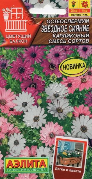 Остеоспермум Звездное сияние карликовый, смесь сортов АЭ 10шт