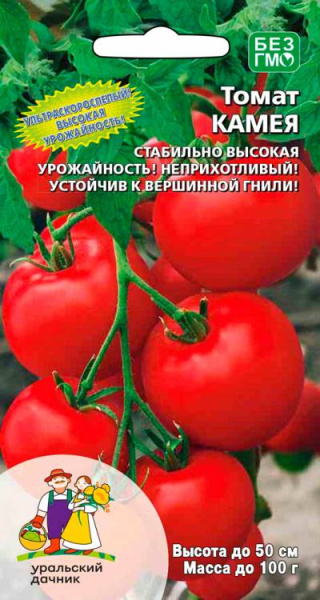 Томат Камея УД