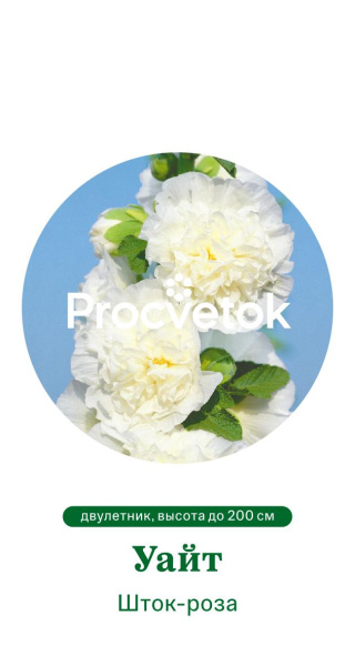 Шток-роза Уайт Германия Pro 0,3г