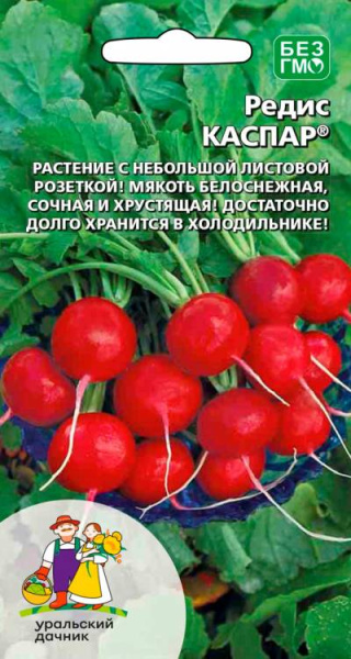 Редис Каспар УД