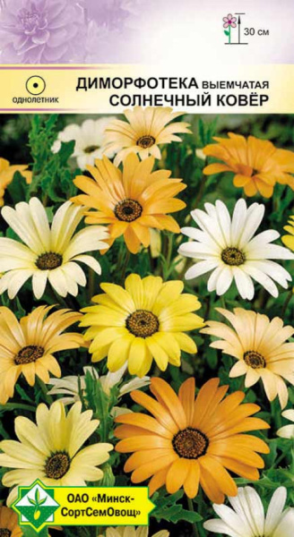 Диморфотека выемчатая Солнечный ковер МССО 0,3г