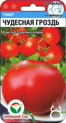 Томат Чудесная гроздь СИБ 20шт Томат Чудесная гроздь СИБ 20шт