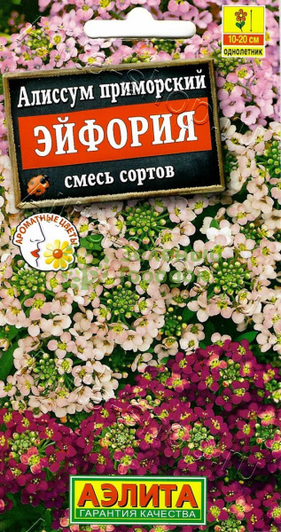 Алиссум Эйфория смесь АЭ 0,05г Алиссум Эйфория смесь АЭ 0,05г