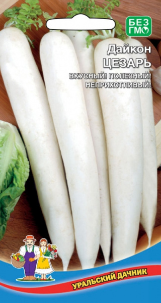 Дайкон Цезарь УД Дайкон Цезарь УД