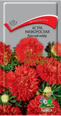 Астра низкорослая Красный ковер (ЦВ) 0,2г Астра низкорослая Красный ковер (ЦВ) 0,2г