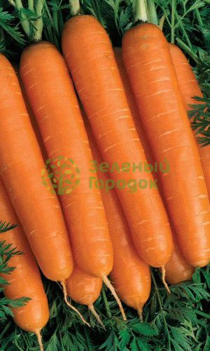 Морковь Детская Сладость (Марс) белый пакет 1г