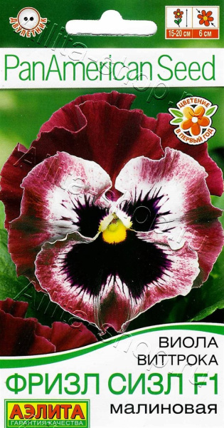 Виола Фризл Сизл F1 малиновая гофрированная АЭ 5шт