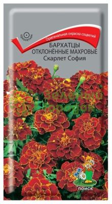 Бархатцы откл. махровые Скарлет София (ЦВ) 0,4г Бархатцы откл. махровые Скарлет София (ЦВ) 0,4г