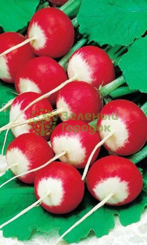 Редис Розово-Красный с Белым Кончиком (Марс) белый пакет 2г Редис Розово-Красный с Белым Кончиком (Марс) белый пакет 2г