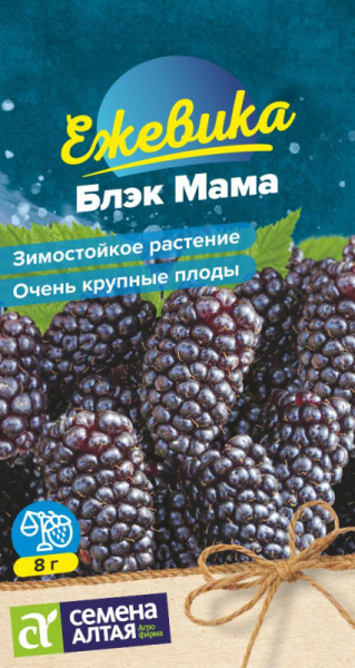 Ежевика Блэк Мама крупноплодная SA 0,03г Ежевика Блэк Мама крупноплодная SA 0,03г