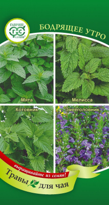 Травы для чая Бодрящее утро 0,3г Н16