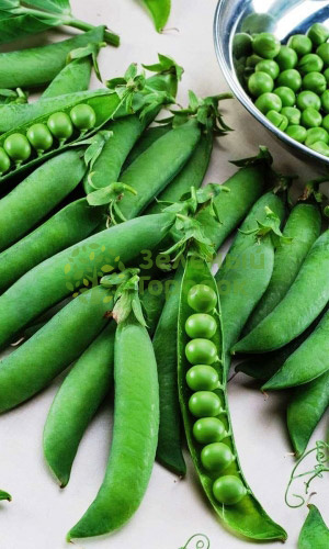 Горох Воронежский Зеленый (Марс) белый пакет 8г