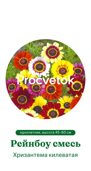 Хризантема килеватая Рейнбоу смесь Германия Pro 0,3г