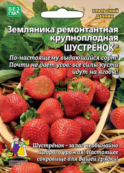 Земляника Шустрёнок ремонтантная УД Б/Ф 10шт Земляника Шустрёнок ремонтантная УД Б/Ф 10шт