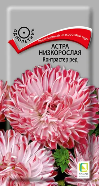 Астра низкорослая Контрастер Ред (ЦВ) 0,1г Астра низкорослая Контрастер Ред (ЦВ) 0,1г