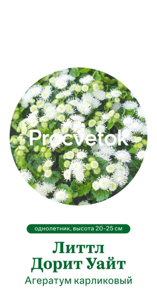 Агератум карликовый Литтл Дорит Уайт Германия Pro 0,1г